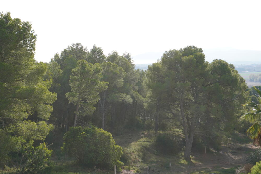 197 Ref 197 Casa aislada / Villa Torre Gran Estartit (L´) 197 Ref 197 Casa aislada / Villa Torre Gran Estartit (L´)