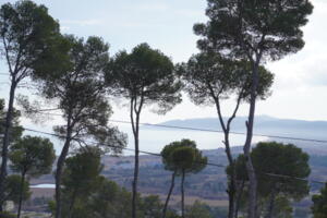 199 Ref 199 Casa aislada / Villa Torre Morratxa Estartit (L´)