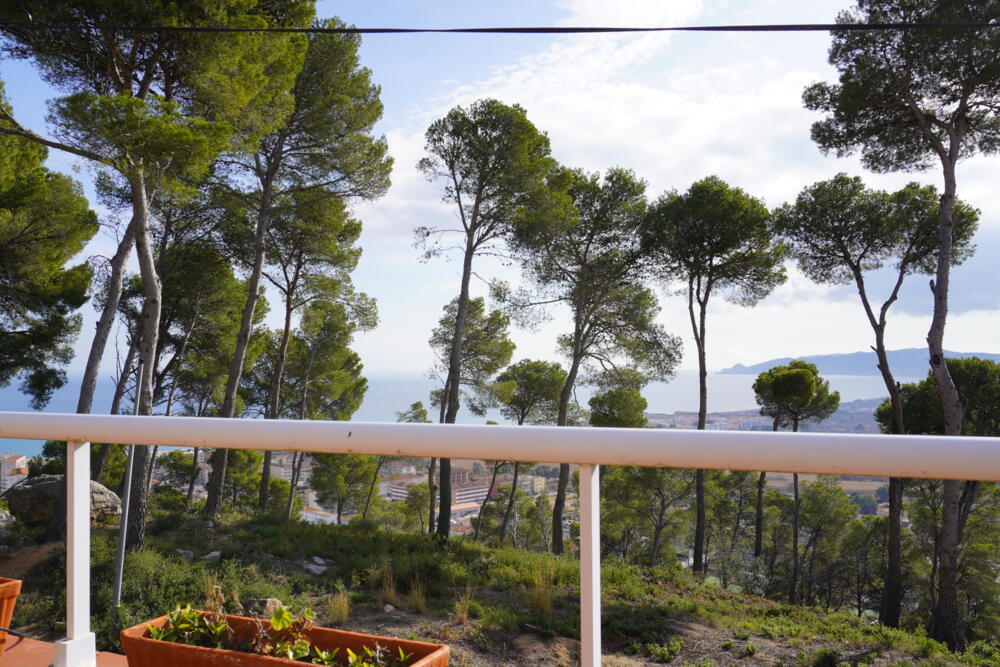 199 Ref 199 Casa aislada / Villa Torre Morratxa Estartit (L´) 199 Ref 199 Casa aislada / Villa Torre Morratxa Estartit (L´)