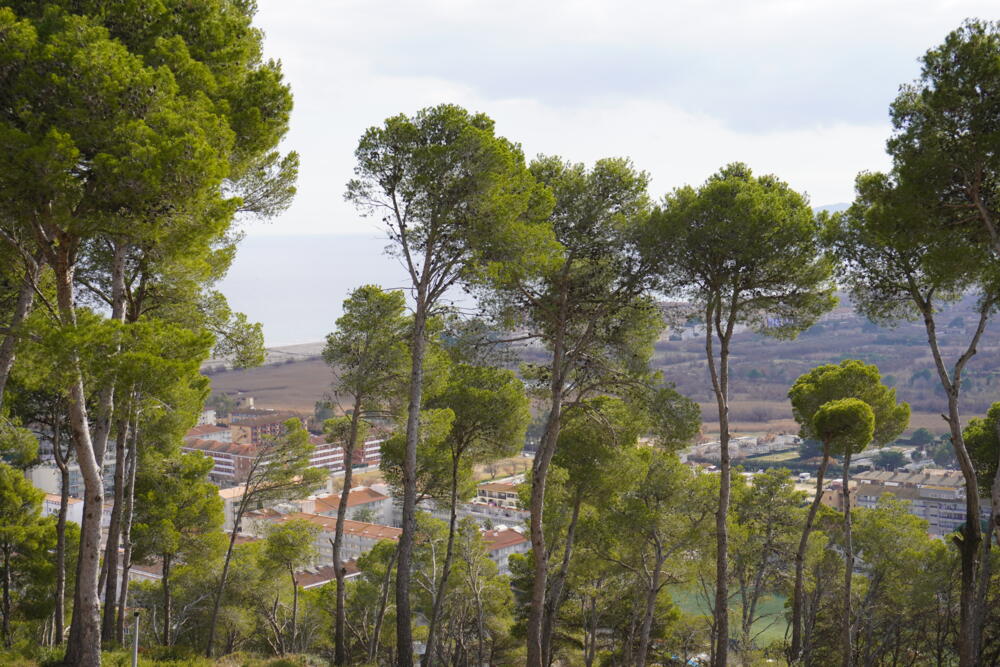 199 Ref 199 Casa aislada / Villa Torre Morratxa Estartit (L´) 199 Ref 199 Casa aislada / Villa Torre Morratxa Estartit (L´)