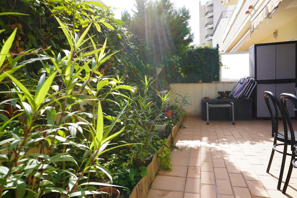 210 Ref 210 Appartement Centro Estartit (L´)