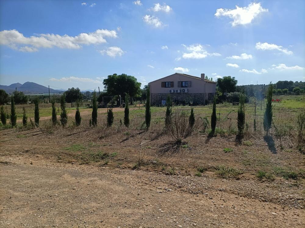 250 Ref 250 Masia Albons 250 Ref 250 Masia Albons