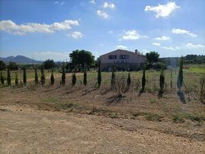 250 Ref 250  Masia  Albons