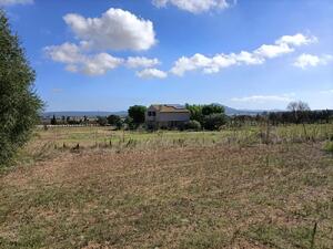 250 Ref 250  Masia  Albons