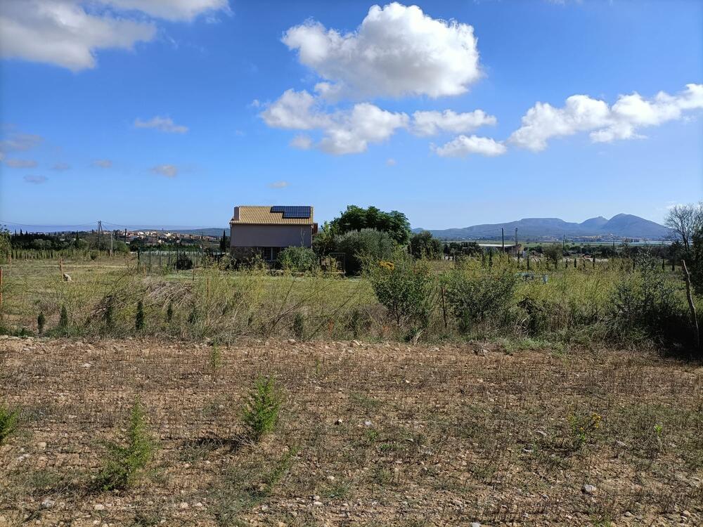 250 Ref 250  Masia  Albons