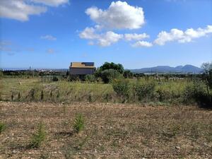 250 Ref 250  Masia  Albons