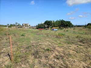 250 Ref 250  Masia  Albons