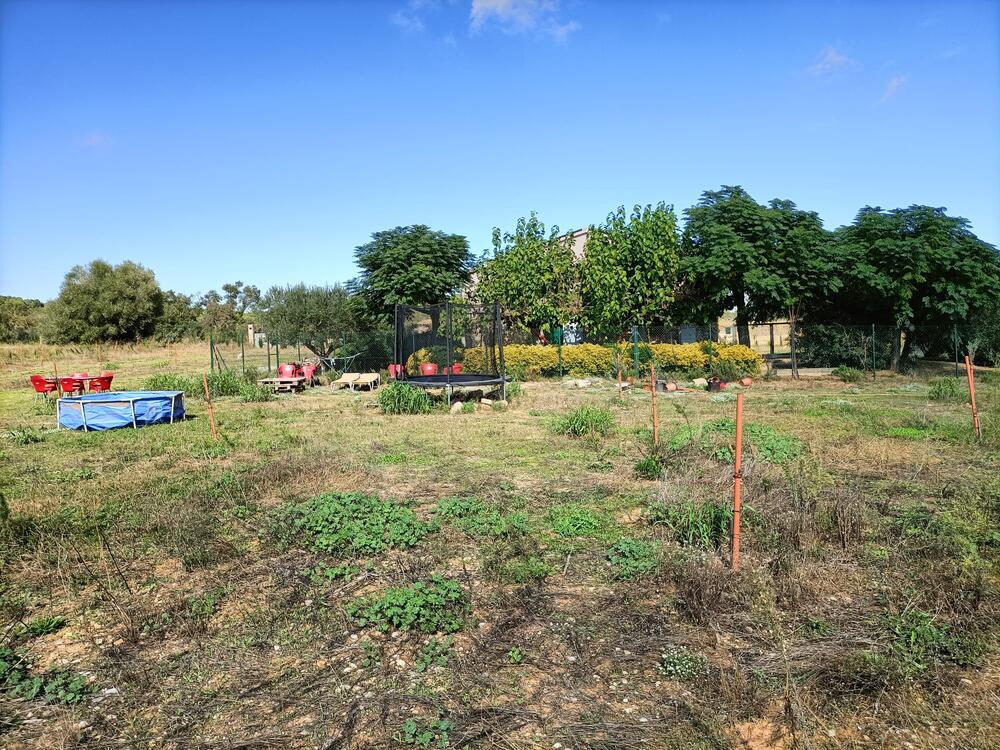 250 Ref 250  Masia  Albons