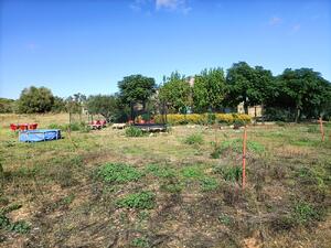 250 Ref 250  Masia  Albons