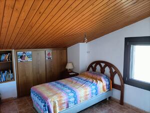 250 Ref 250  Masia  Albons