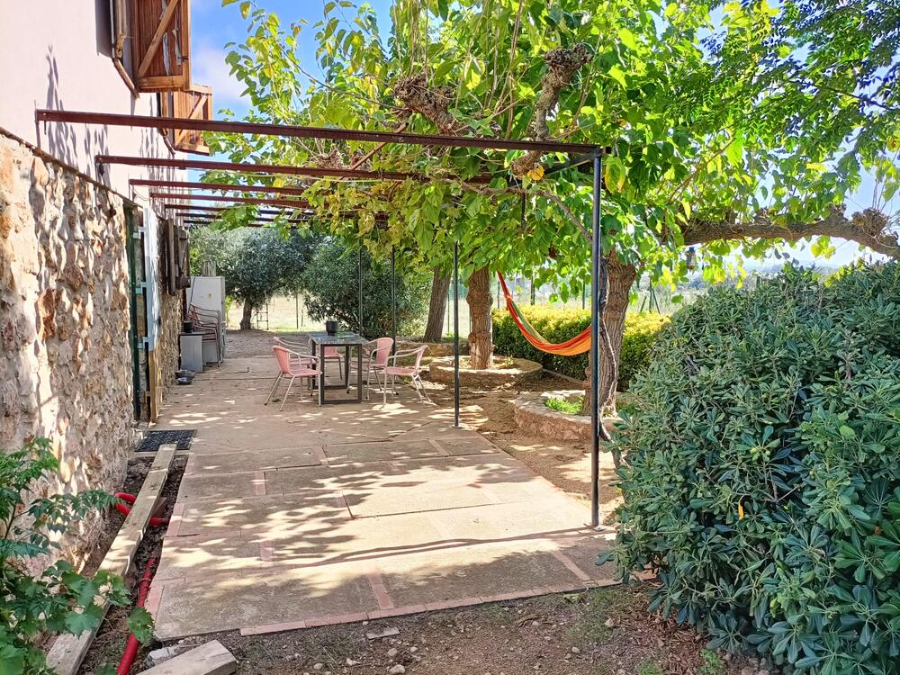 250 Ref 250  Masia  Albons