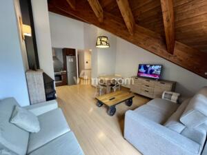 B31. Residencial La Coma - 3º Apartment  Benasque