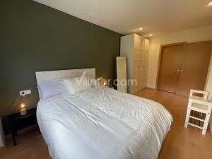 B28 Urb. La Coma 2º Apartment  Benasque