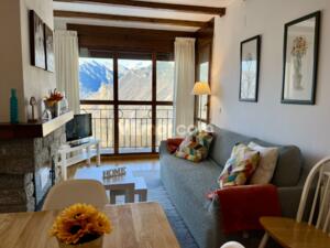 C18 Alojamiento Mirador de Cerler Apartment  Cerler