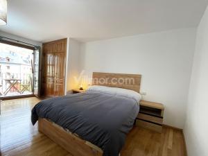 B42 Piso en Avda. Los Tilos Apartment  Benasque