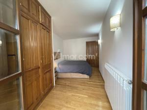 B42 Piso en Avda. Los Tilos Apartment  Benasque
