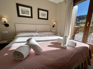 .B37 Chardin De Llis Apartment  Benasque
