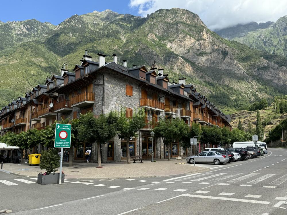 B56 Edif. Ribagorza - 2ºB Apartment  Benasque
