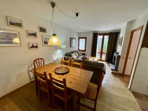 B56 Edif. Ribagorza - 2ºB Apartment  Benasque