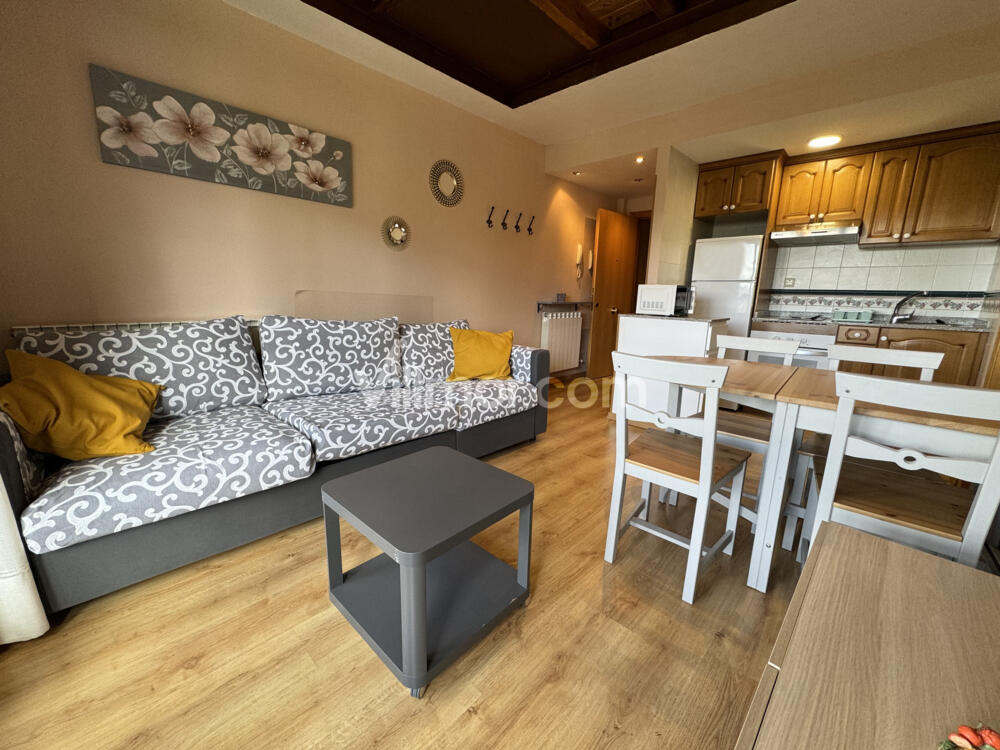 C23 Trébol. Prados De Velarta Apartment  Cerler