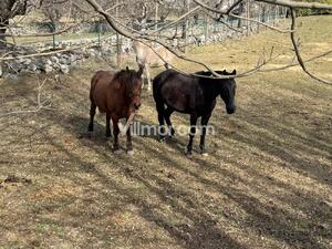 4-008 Prado Rústico en Anciles con Almacenes Terreno  Anciles