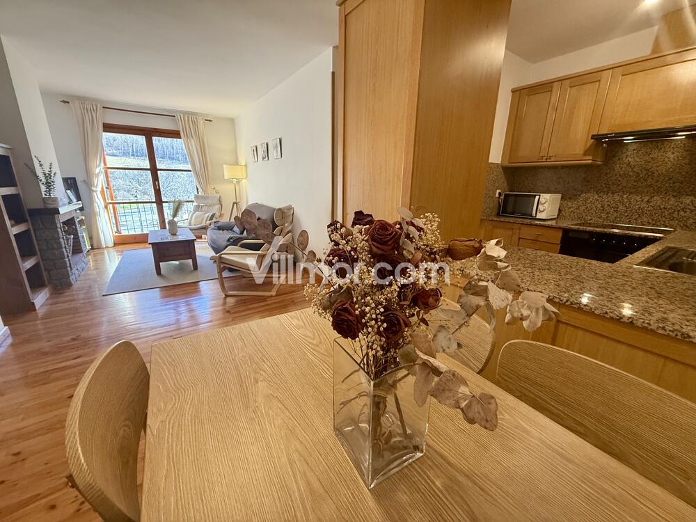 B29. El encanto de Benasque Apartment  Benasque