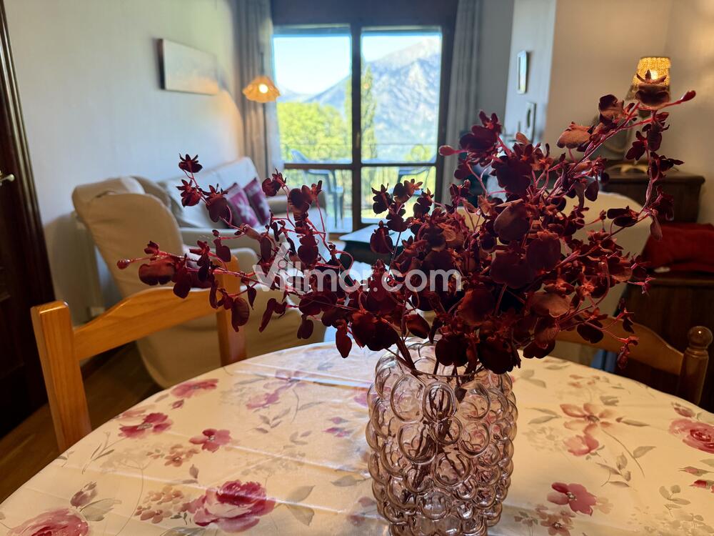 C19. Bellavista Pirineo Apartment  Cerler