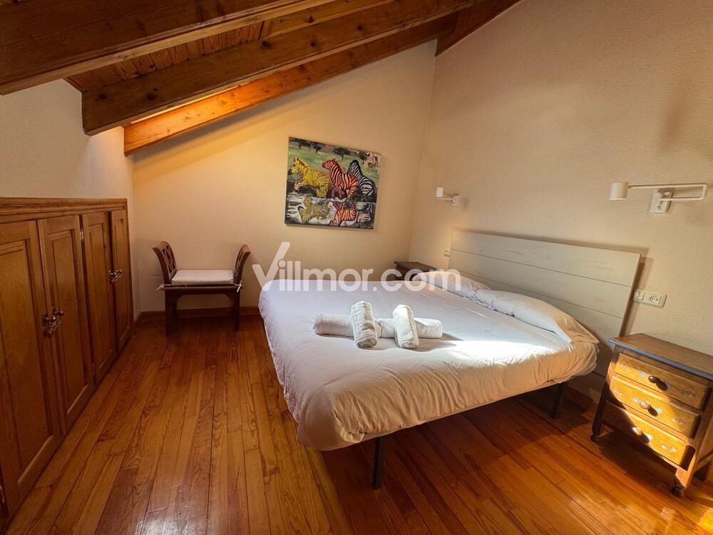 B15. Los Copos Apartment  Benasque