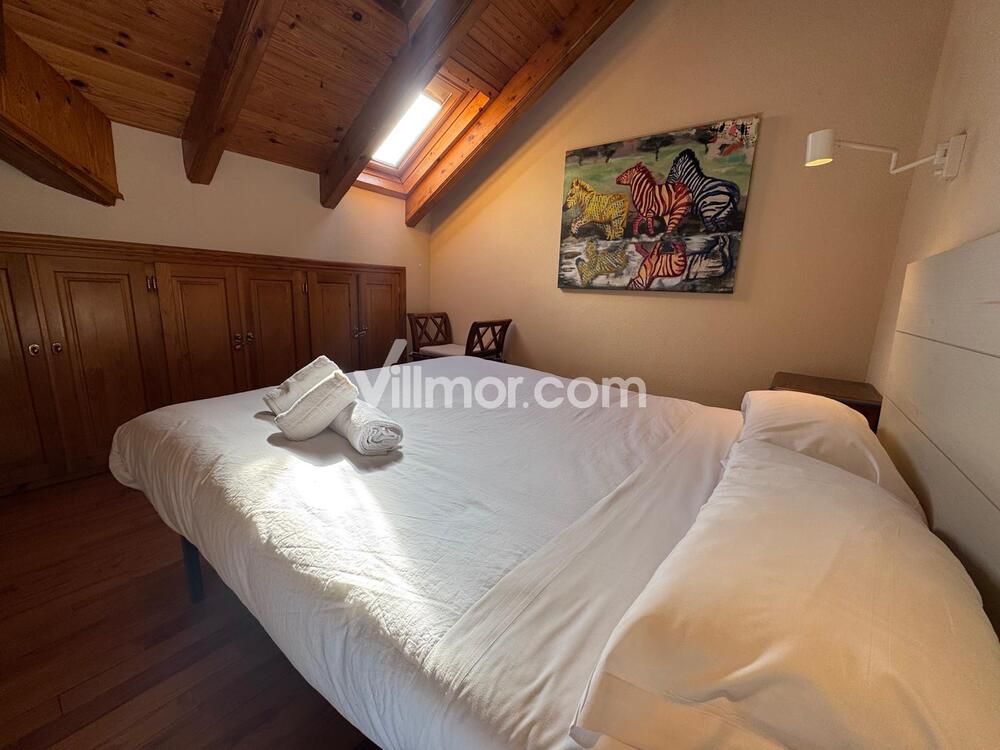 B15. Los Copos Apartment  Benasque