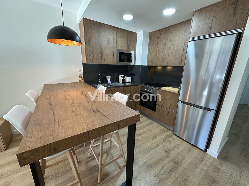B12. Ventamillo Apartment  Benasque