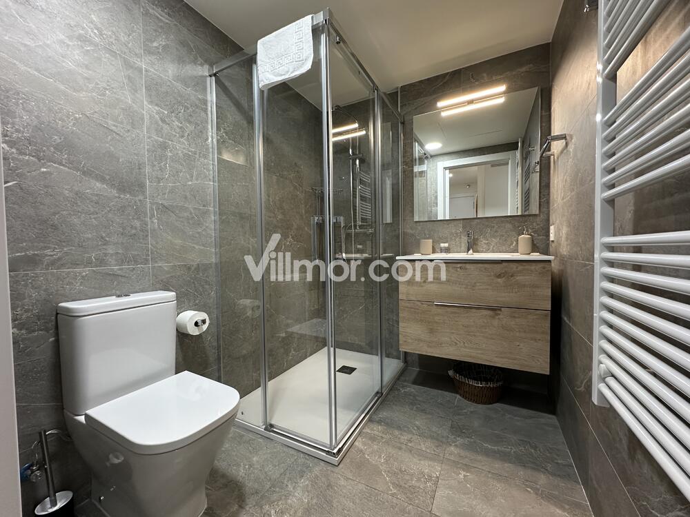 B12. Ventamillo Apartment  Benasque
