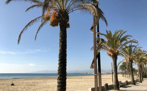 CB218 CB218 SALOU SOL Appartement