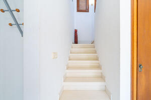117925 Amfora 25 Casa / Xalet Amfora Sant Pere Pescador