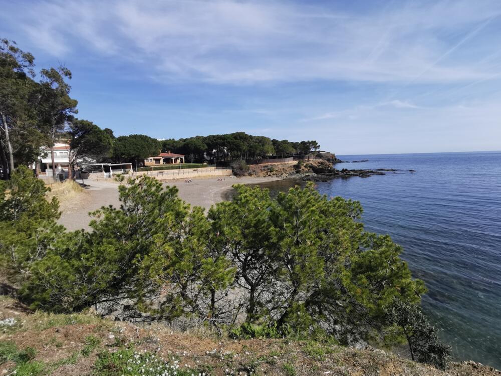 310704 Apt. 1 Ed. Canigó - Llançà Apartment La Farella, El Port Llança