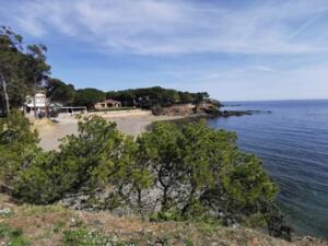 310704 Apt. 1 Ed. Canigó - Llançà Apartamento La Farella, El Port Llança