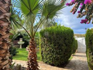 77518 Nautic 13 - Casa con jardin y piscina. Chalet  Sant Pere Pescador