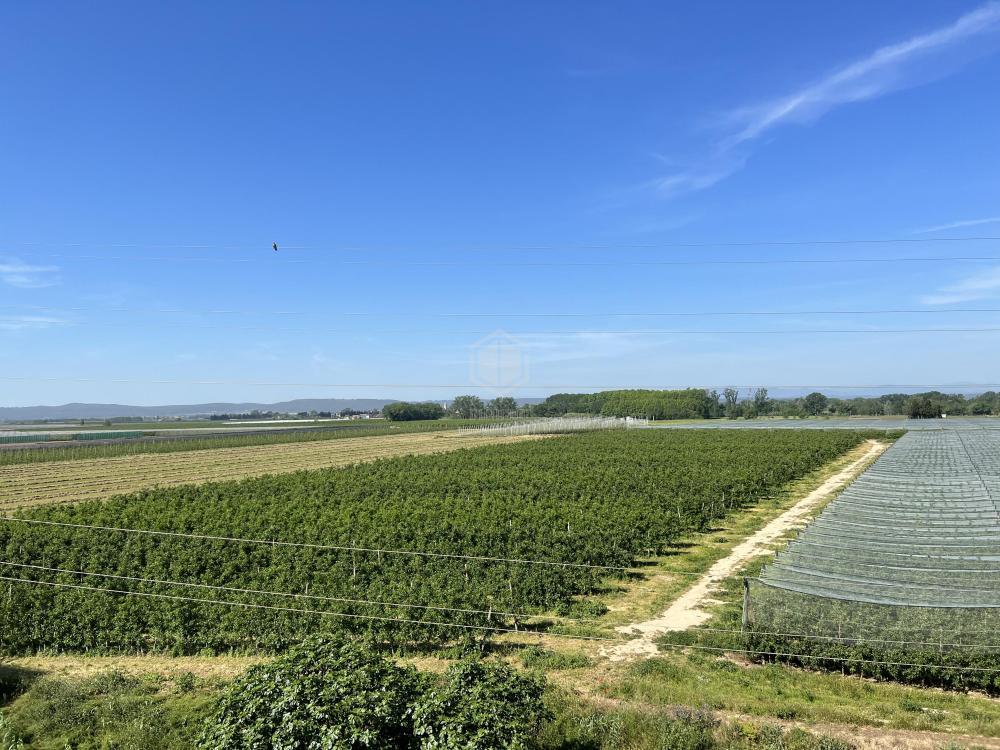 8 Torre Emporda 3C Apartamento  Sant Pere Pescador