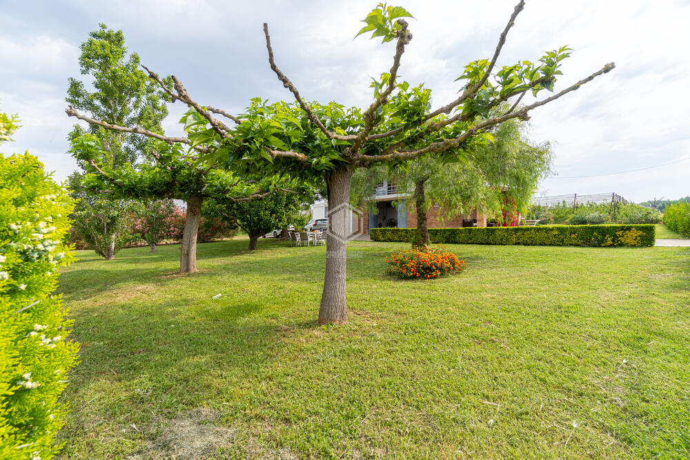 621722 Cal Veneçolà Casa aïllada / Villa Sant Pere Pescador 621722 Cal Veneçolà Casa aïllada / Villa Sant Pere Pescador