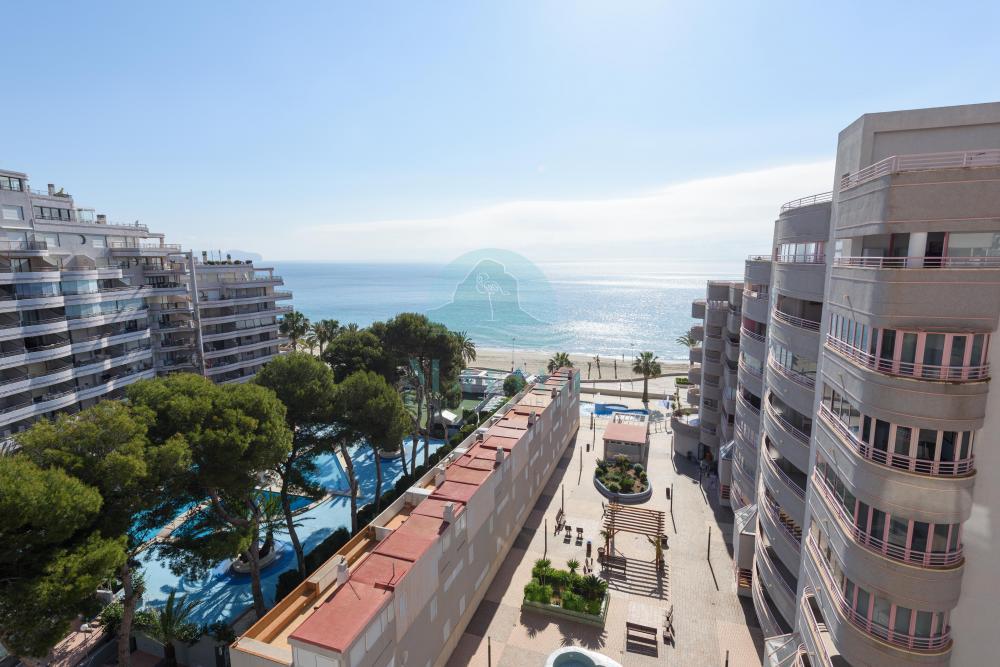 M-83 Apartamentos Nuevo México M 83 Apartamento La Fosa Calpe/Calp