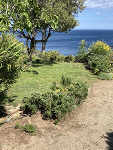 55 GUILLOLA Detached house / Villa Guillola Cadaqués