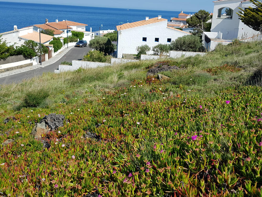CAIALS 4 CAIALS 4 Terreno Cadaqués CAIALS 4 CAIALS 4 Terreno Cadaqués