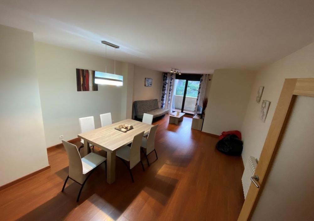 2021-3 ARENY 2.1 Apartment  Canillo