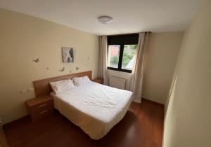 2021-4 ARENY 2.2 Apartament  Canillo