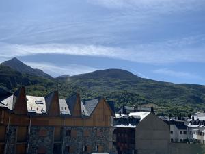 4 La Borda Apartamento  Benasque