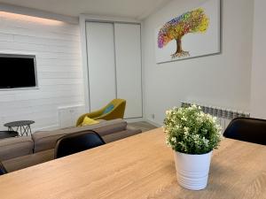 10 Benazken Apartamento  Benasque