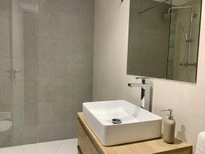 00089 Basibé Apartamento  Benasque