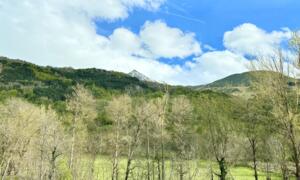 00115 Besurta  Apartamento  Benasque