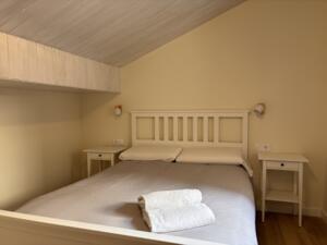 00122 Ampriu Apartment  Benasque