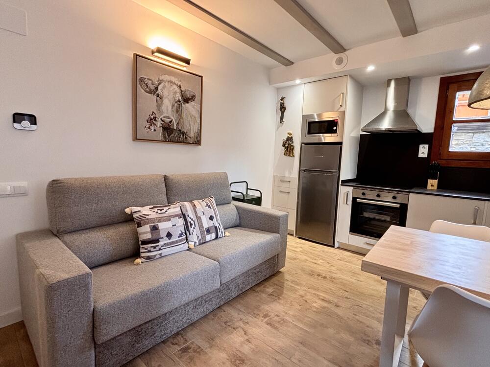 00130 Pedronet Apartamento Benasque 00130 Pedronet Apartamento Benasque