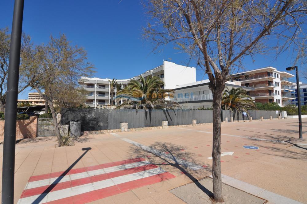 291219 HORT DE MAR 336 Studio-Apartment Roses 291219 HORT DE MAR 336 Studio-Apartment Roses